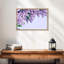 Délicats lilas mauves-488833460-488833449