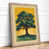 Oak