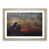 Oak Framed selected