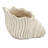 11.5X7x7 Inches Beige Sand And Cement Shell Planter Ideal For Succulents In A Rustic Bedroom Kitchen
