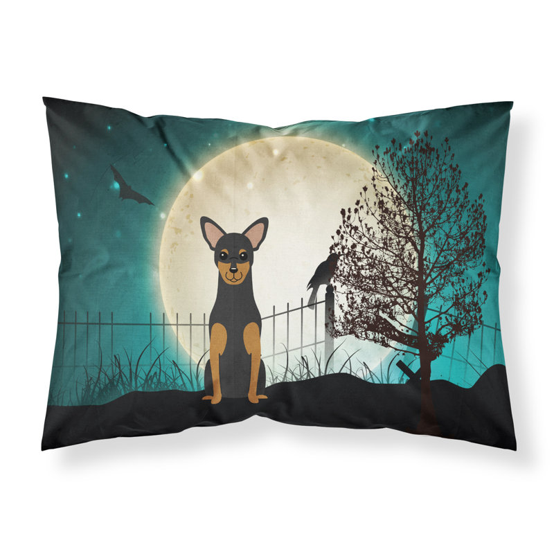 Microfiber, Manchester Terrier