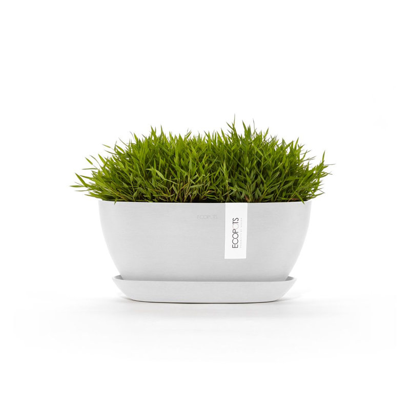 Jardinières en pot, Blanc pur
