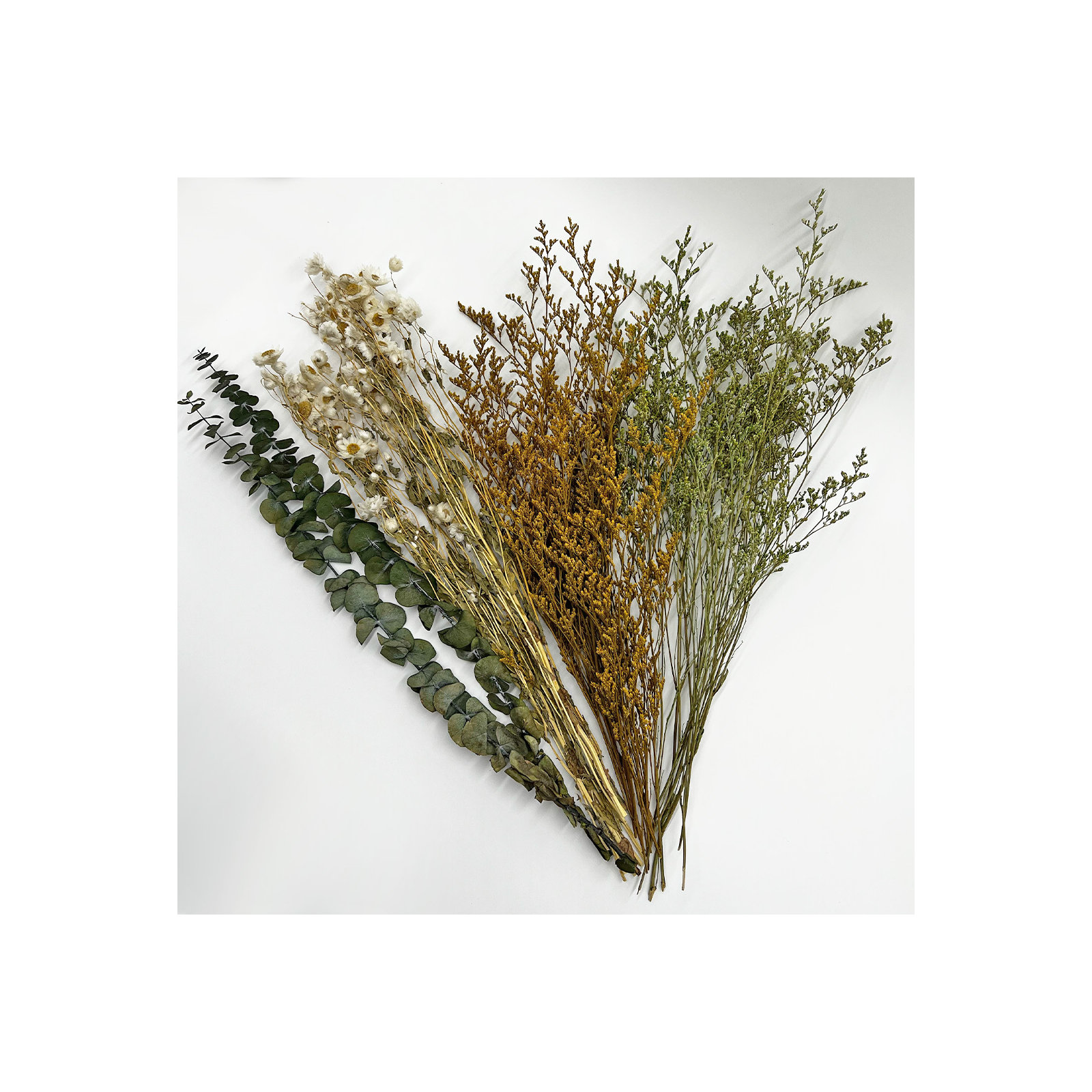 Real Preserved Mixed Bouquets Mix 6 Small - Med - Large, 14" H x 4" W x 8" D