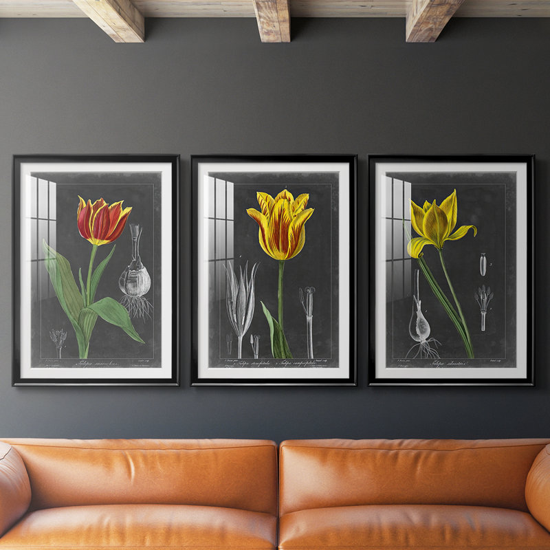 Midnight Tulip IV - reproduction encadrée sur mesure de qualité supérieure mate - 3 pièces, H 21 po x l 30 po, Noir
