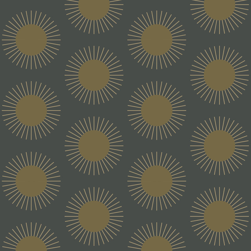 Sunburst - papier peint soleil de minuit