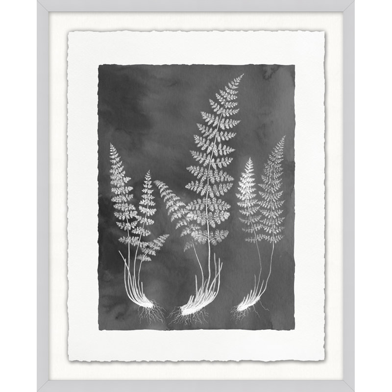 Fernspiration Gray, reproduction d'art graphique encadrée de 6 pi sur verre