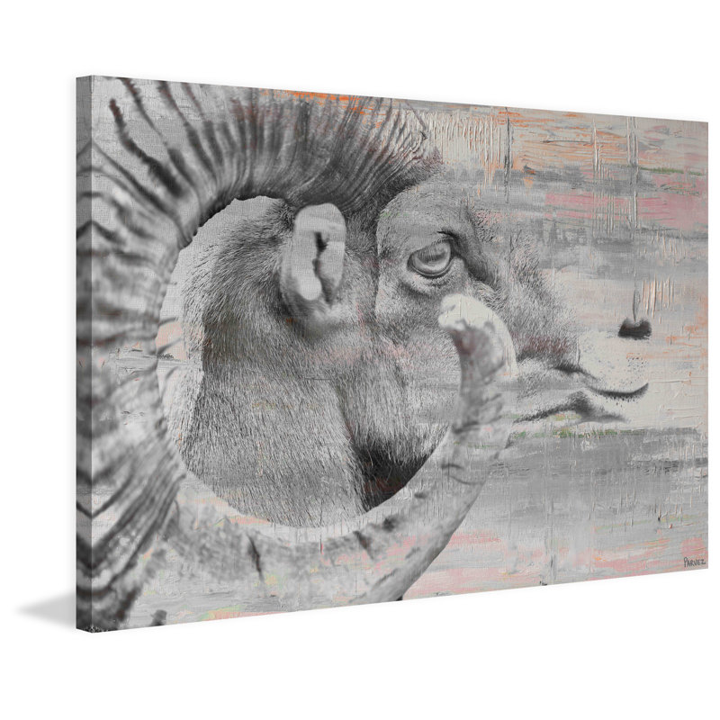Parvez Taj - Wrapped Canvas Print, 61cm H x 91cm W