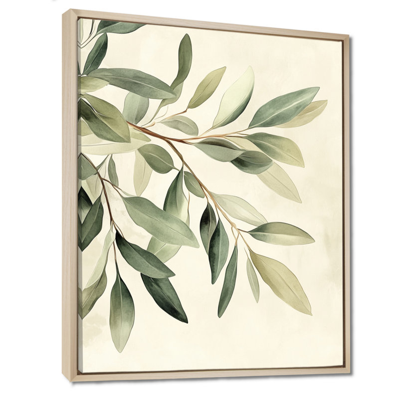 Douce eucalyptus olive branche IV - verdure, art mural, H 40 po x l 30 po, Natural Floater Framed