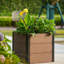 Raised Garden Bed