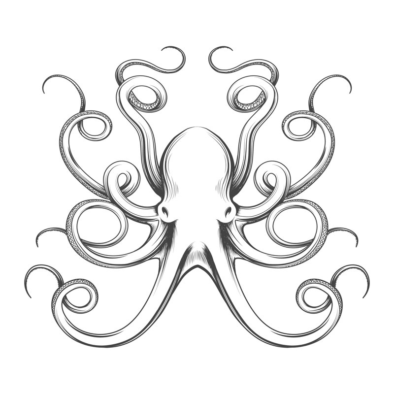 Engraved Octopus Vector Icon by Vectortatu - Wrapped Canvas Print, 30cm H x 30cm W