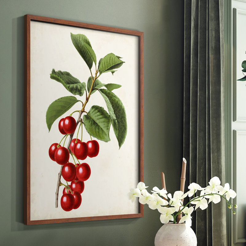 Antique Fruit II, reproduction encadrée - bois massif, Brun, H 28 po x l 22 po