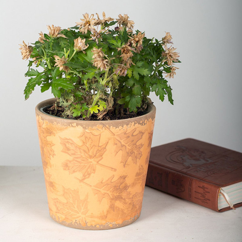 Cache pot de ciment