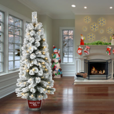 The Holiday Aisle® Arbre d'entrée pin 5 pi avec lumières DEL Snowy Pogue