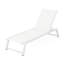 Chaise longue de patio (Mp1)