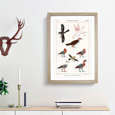 Ducks & Birds by J.F. Champollion - Picture Frame Painting Print