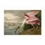 Art mural sur toile tendue - Art mural de John James Audubon «Rosicate Spoonbill» pour le salon, la chambre à coucher ou le bureau - 30 x 47-1861521063