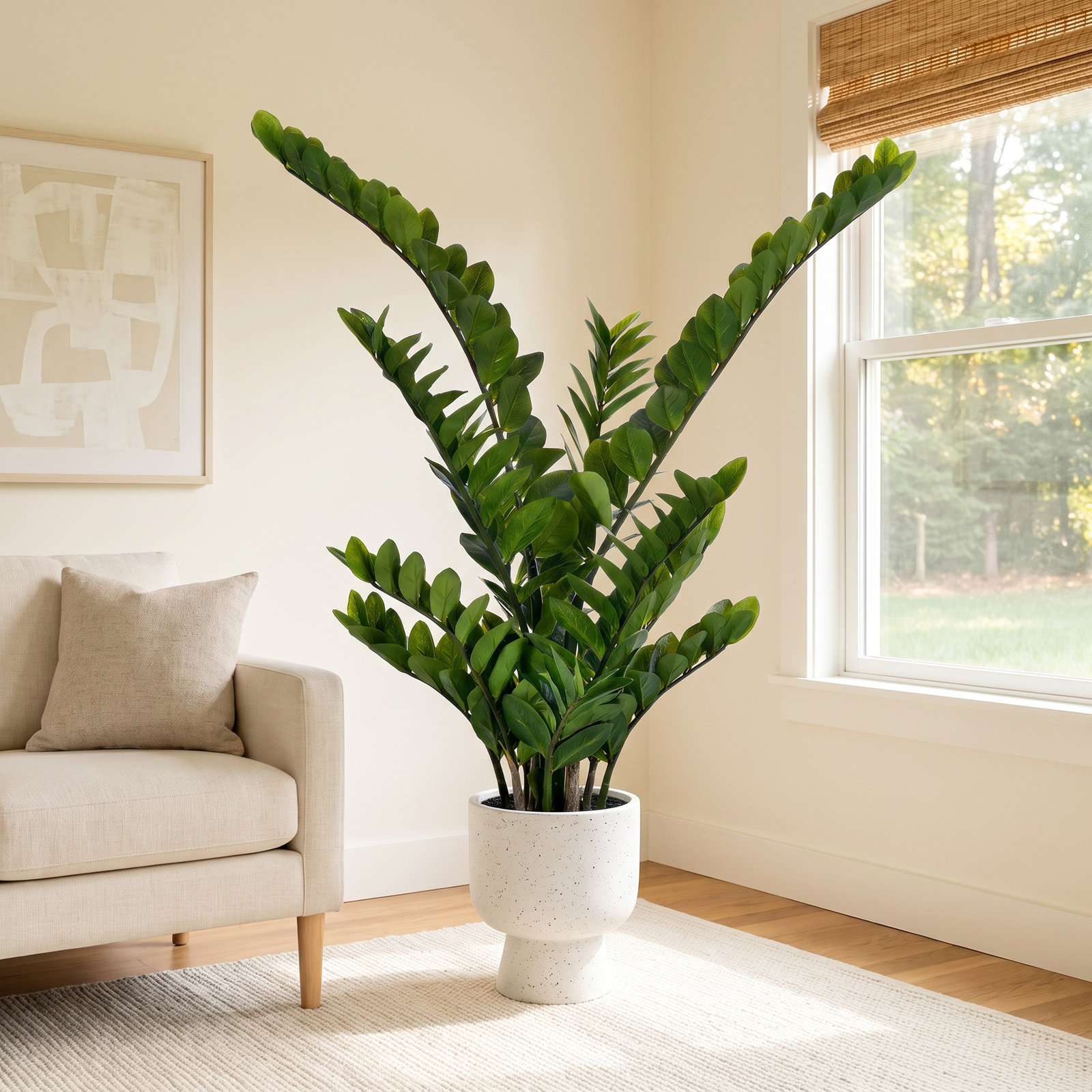 Zen ZZ Plant in Pot, 43" H x 27" W x 27" D