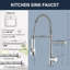 Belfry Kitchen Donnelle Pull Down Kitchen Faucet