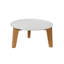 Attol Coffee Table-18737327-18752011
