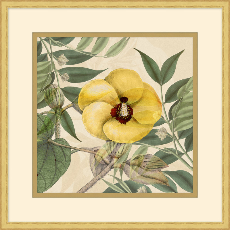 Golden Briar 3 Print