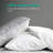 Soft Feather Down Throw Pillow Inserts Set of 2-102250140
