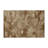 Nature Beige Indoor and Outdoor Area Rug-1480119351