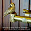 Iron Adjustable 1.12'' Double Curtain Rod-423766738-423766736