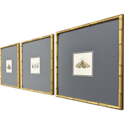 Pastel Moths I Framed Art