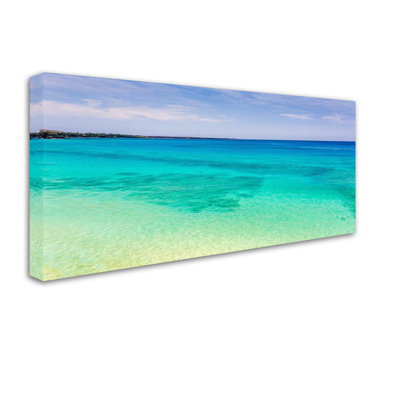 Fabrizzio "Blue Hawaii" par Pierre Leclerc, reproduction de photo sur toile tendue