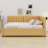 Aynslie Full Size Upholstered Daybed with 2 Storage Drawers Sofa Bed Frame-1071604433