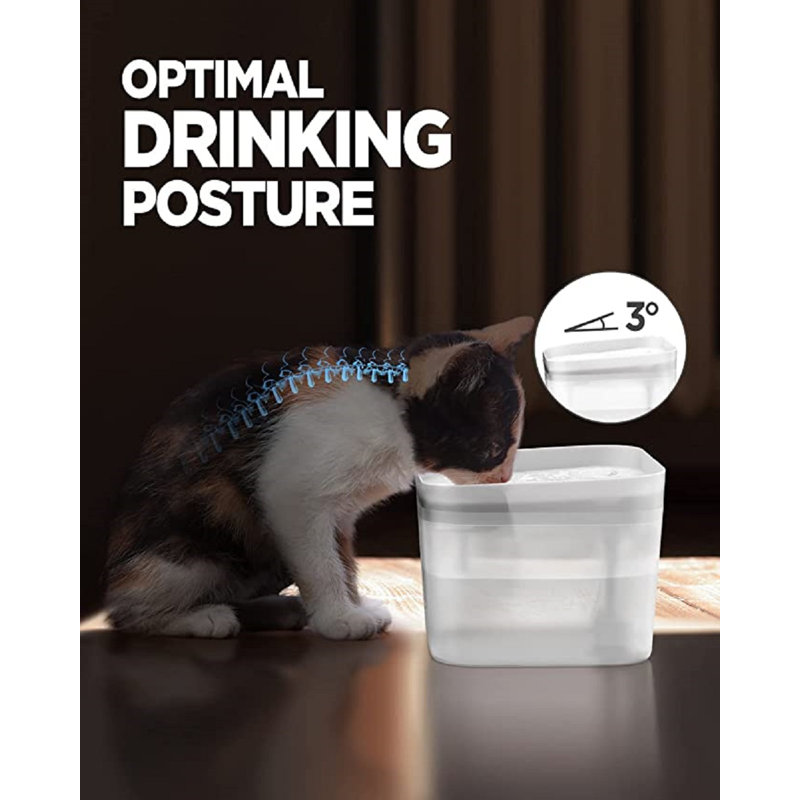 Pet Fountain