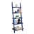 Loucks Ladder Bookcase-1453939948-1453939946