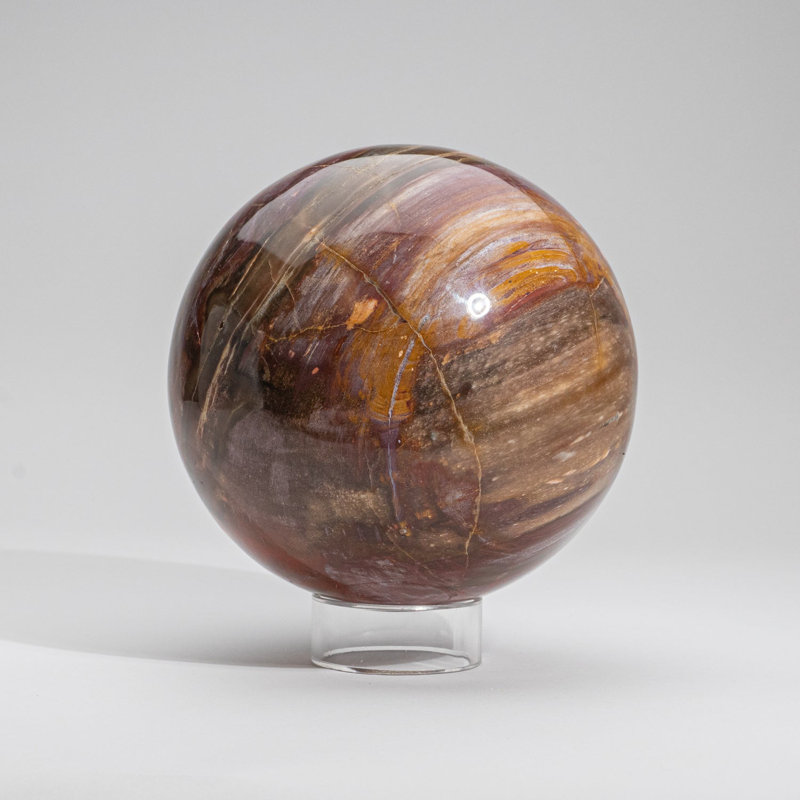 Grande sphère en bois véritable pétrifié poli de Madagascar (6,75 po, 15,4 lb)