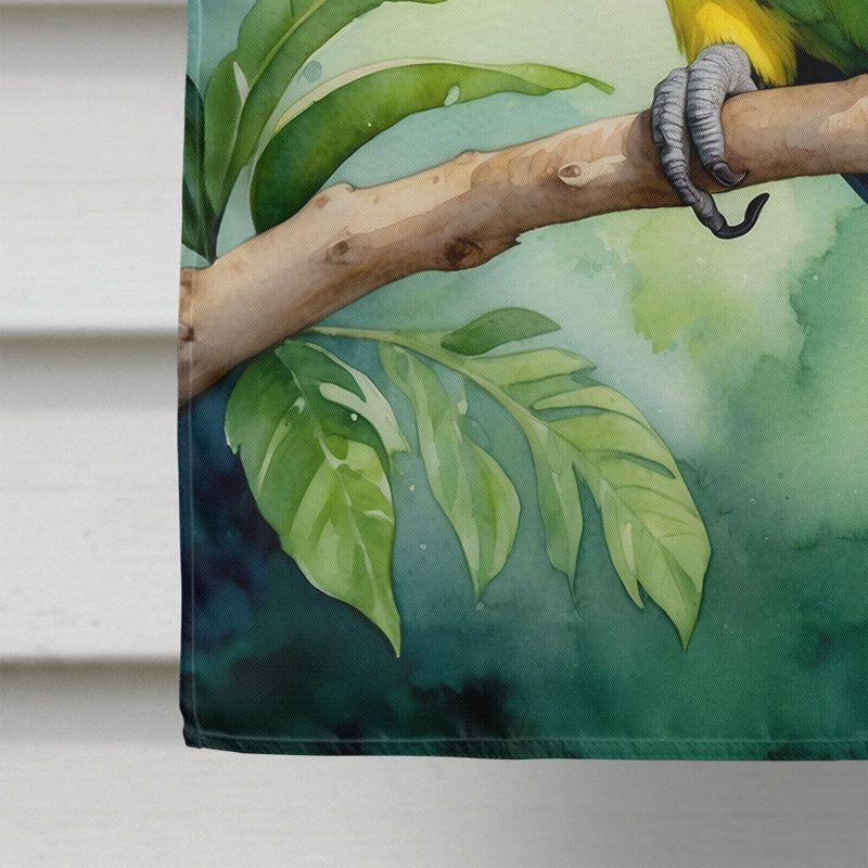House Flag, Yellownaped Amazon Parrot