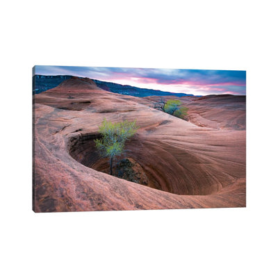 Cottonwood Tree In Hole, Grand Staircase-Escalante National Monument, Utah II 1 Piece Wrapped Canvas Wall Art