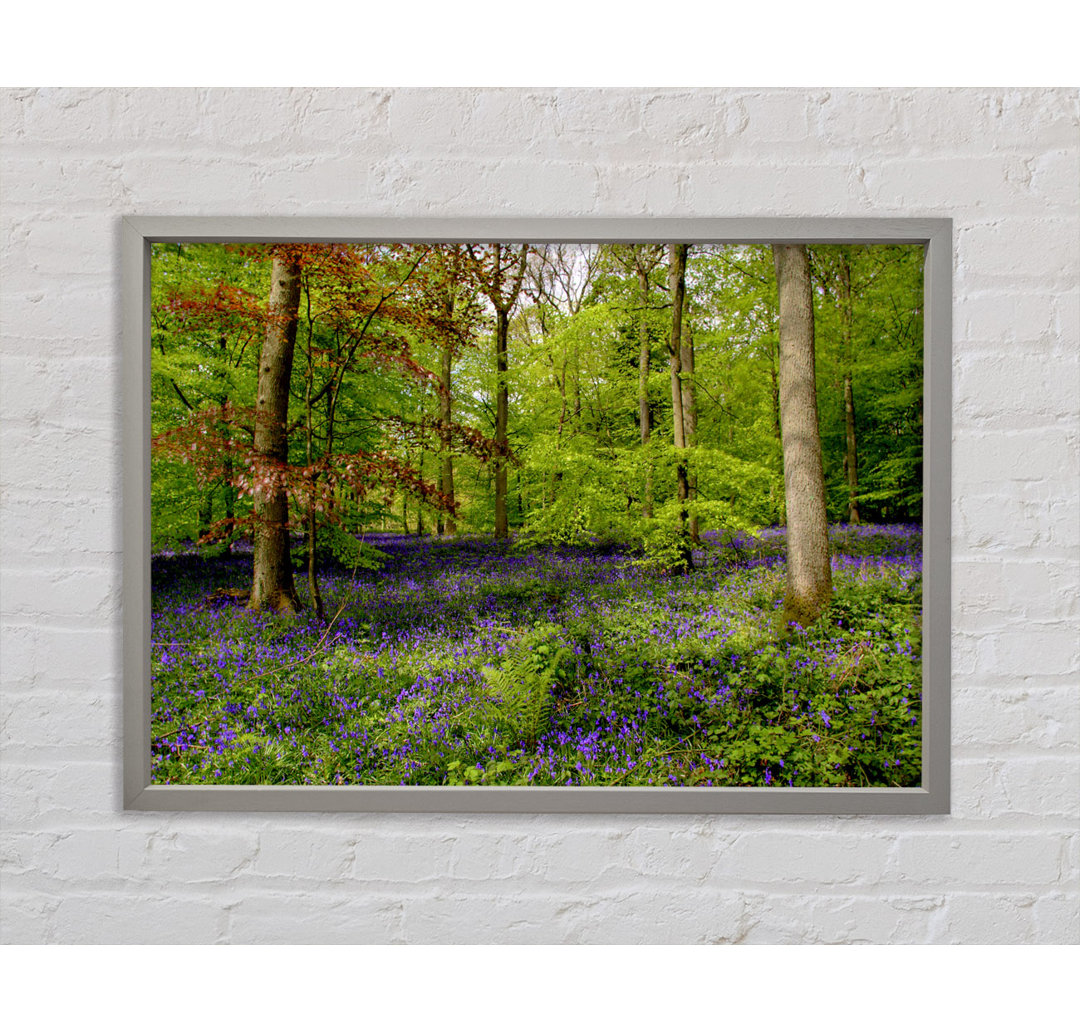 Lila Blumen im Wald - Einzelne Bilderrahmen Kunstdrucke auf Leinwand