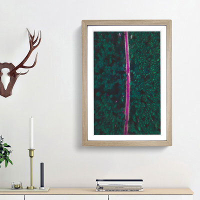 Forest Drive in Abstract - Picture Frame Graphic Art Print