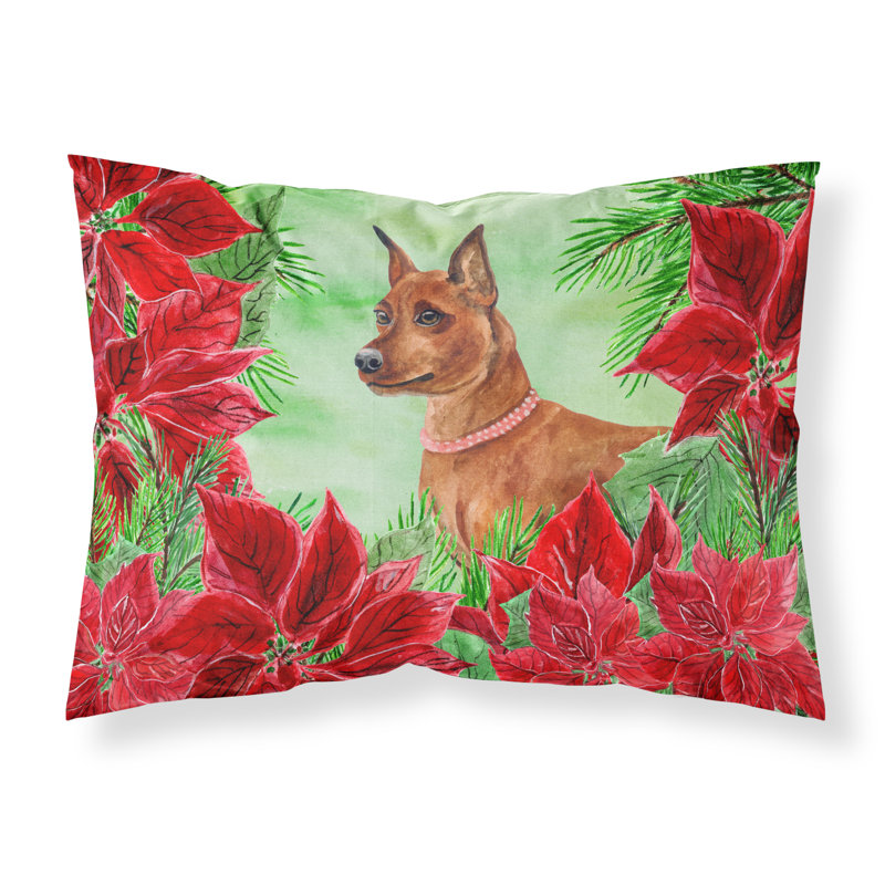 Microfiber, Miniature Pinscher