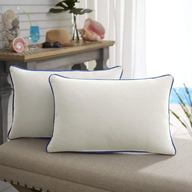 Paityn Indoor/Outdoor Lumbar Pillow