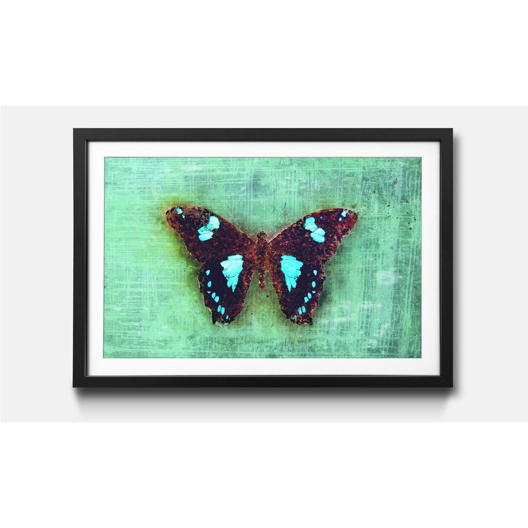 Gerahmtes Poster Trauriger Schmetterling