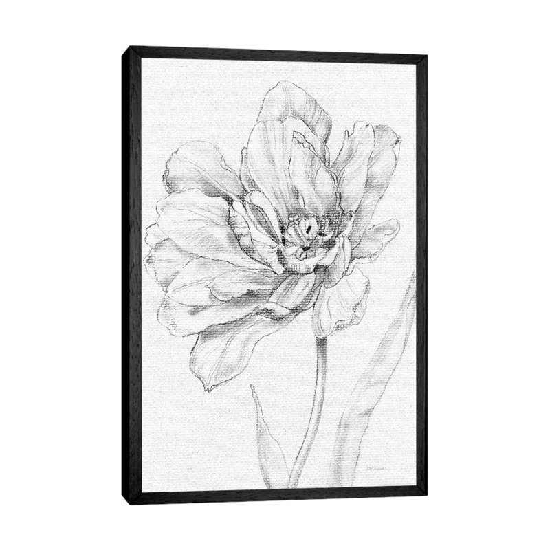 Tulip Sketch by Carol Robinson - Print on Canvas, 101.6 cm H x 66.04 cm W, Black Framed