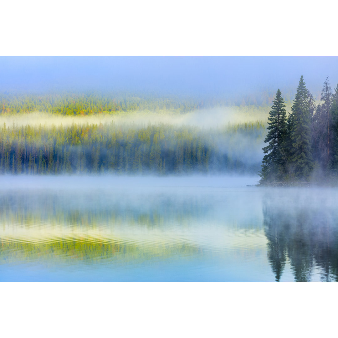 Jasper National Park von Don White - Druck