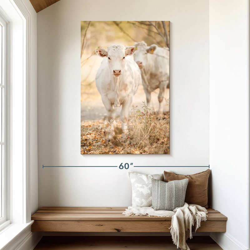Vaches charolaises blanches, H 48 po x l 32 po