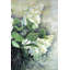 Lilas blancs - Botanique contemporain, toile encadrée-119954753