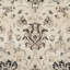 Petronella Viscose Oriental Rug in Ivory/Black-19261716