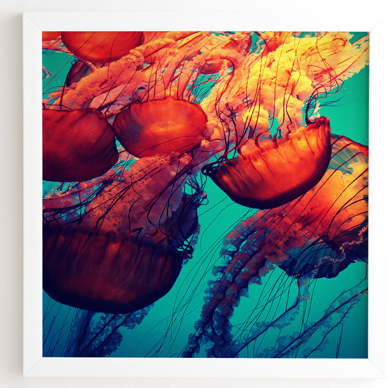«Jellyfish 7», reproduction d'art textuel sur toile, H 12 po x l 12 po x P 1 po, Cadre satiné