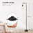 Hedon 62.99'' Black Traditional Floor Lamp