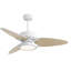 Light Pro 52 po Ventilateur de plafond intelligent à DEL avec télécommande-1501012457-1501012456