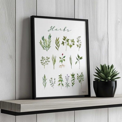 Reproduction d'art «Herbs» par Molly Mattin