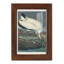 Waverley Pl 216, impression encadrée sur papier-1234225159-1234225160